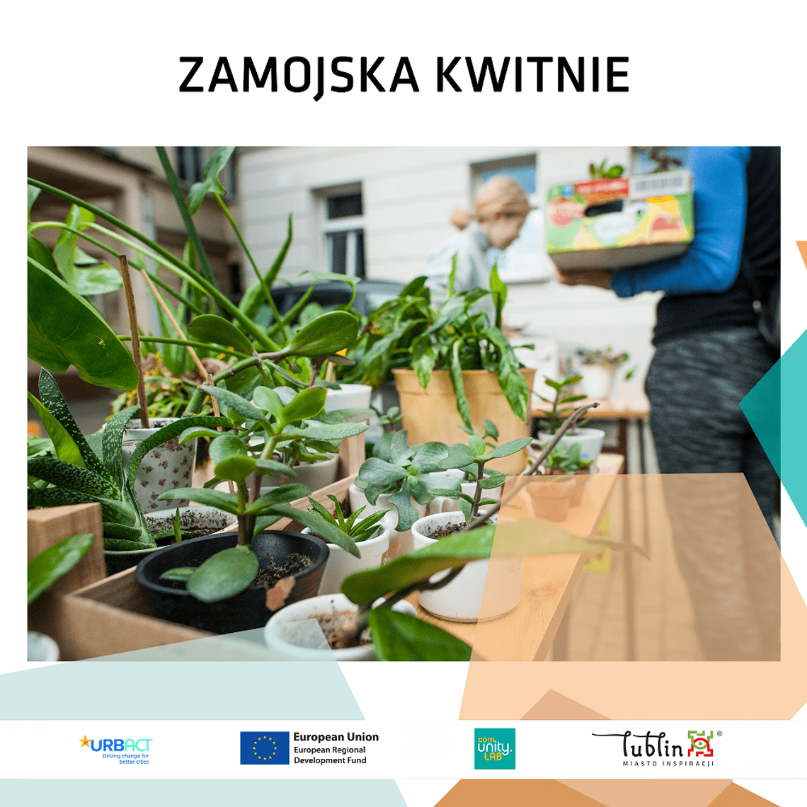 Rusza kolejna edycja cyklu „Zamojska kwitnie” Rusza kolejna edycja cyklu „Zamojska kwitnie”