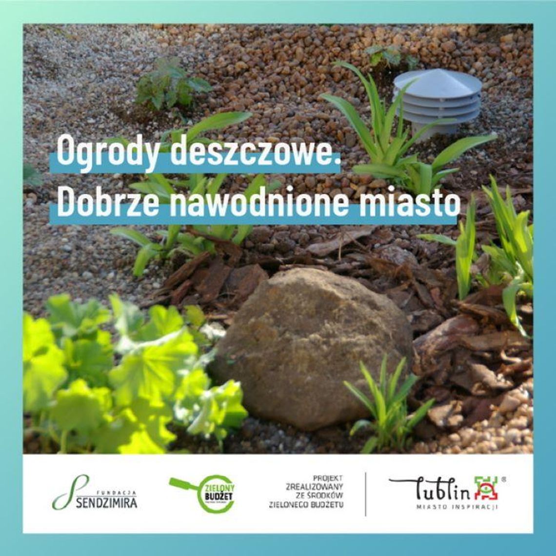 Rusza projekt „Ogrody deszczowe. Dobrze nawodnione miasto" Rusza projekt „Ogrody deszczowe. Dobrze nawodnione miasto"