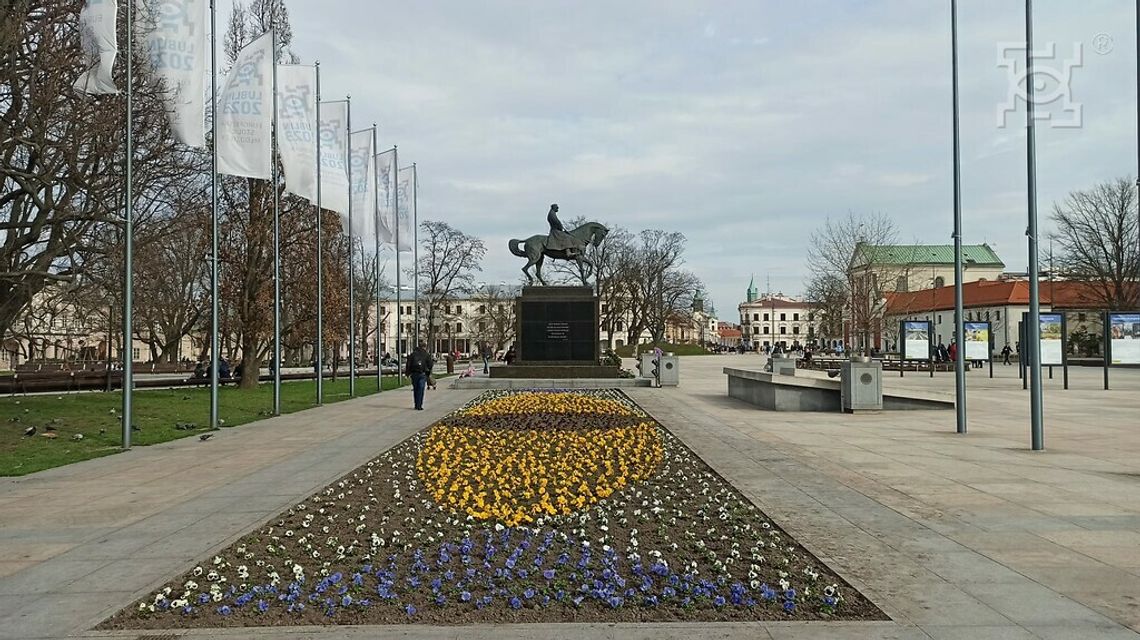 Sadzimy bratki, czyli Lublin w wiosennej odsłonie