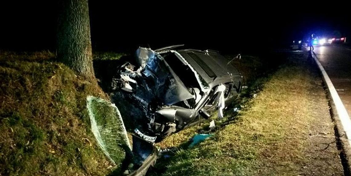 Samochód czołowo uderzył w drzewo