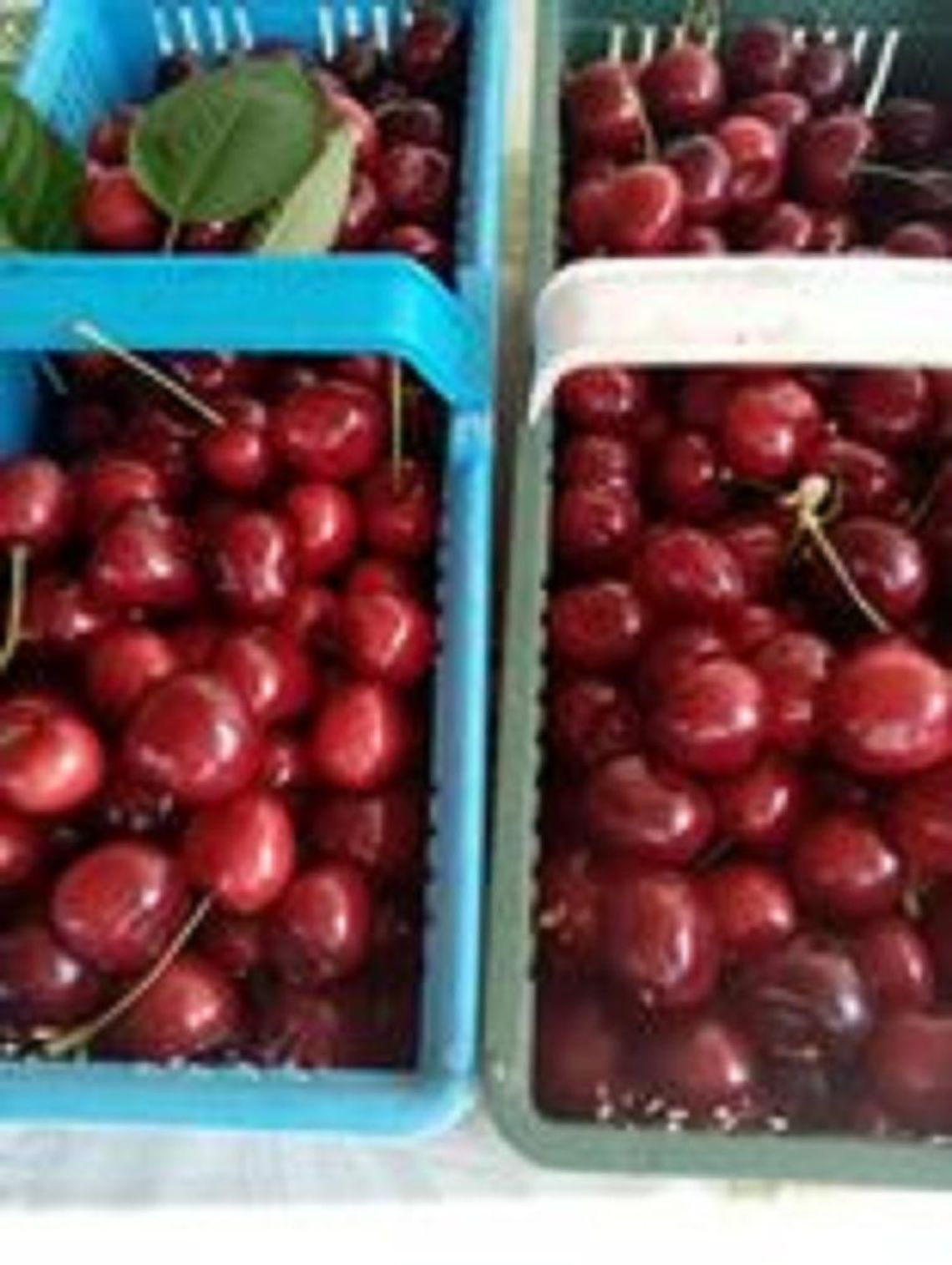 Sezon owocowy w pełni. Jak przedstawiają się ceny owoców? Sezon owocowy w pełni. Jak przedstawiają się ceny owoców?