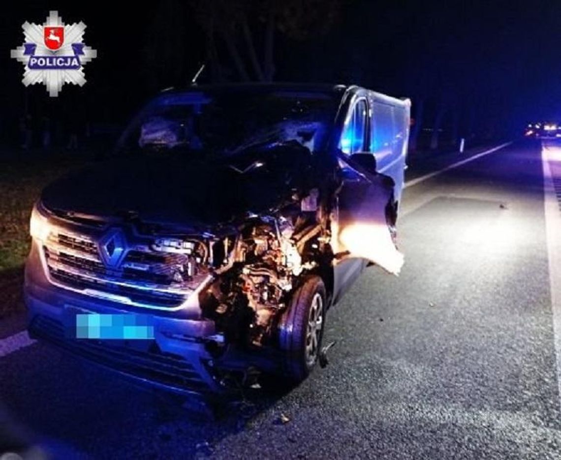 Śmiertelny wypadek w powiecie lubartowskim