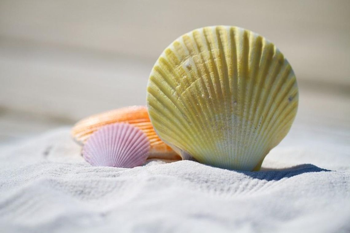 Sprzęt na plażę - gdzie kupić i co się przyda? 