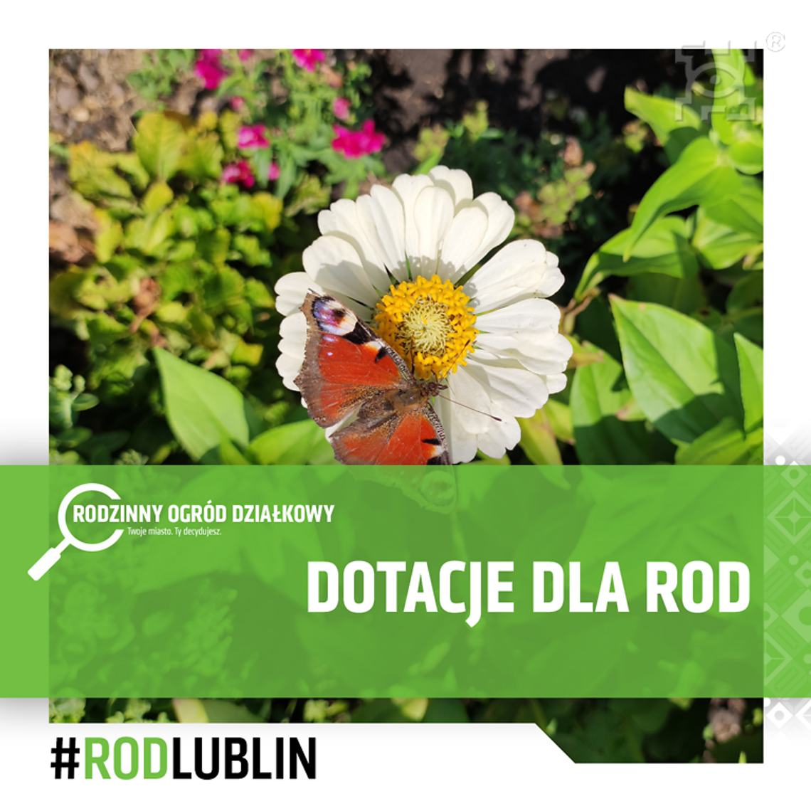 Środki na poprawę infrastruktury dla Rodzinnych Ogrodów Działkowych Środki na poprawę infrastruktury dla Rodzinnych Ogrodów Działkowych