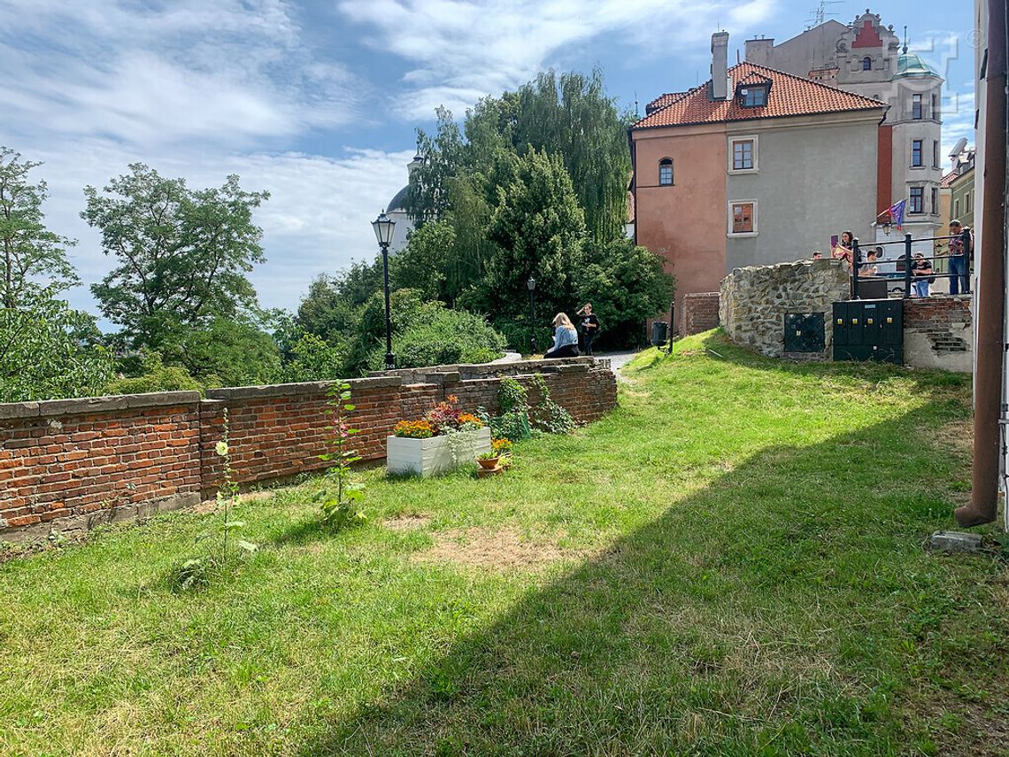 Stare Miasto bardziej zielone i przytulne Stare Miasto bardziej zielone i przytulne