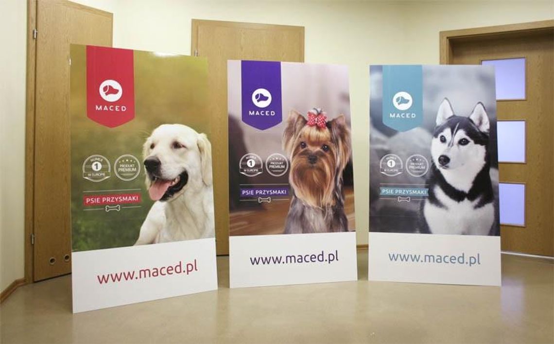 Stojaki reklamowe - czy warto inwestować w taką formę reklamy? * Stojaki reklamowe - czy warto inwestować w taką formę reklamy? *