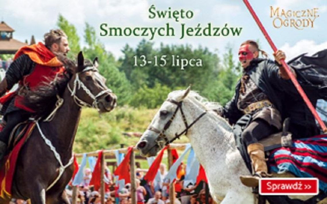 Święto Smoczych Jeźdźców! * Święto Smoczych Jeźdźców! *