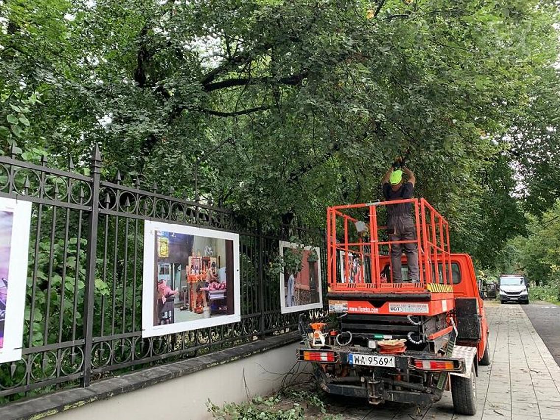 Trwa sprzątanie miasta po nocnej nawałnicy Trwa sprzątanie miasta po nocnej nawałnicy