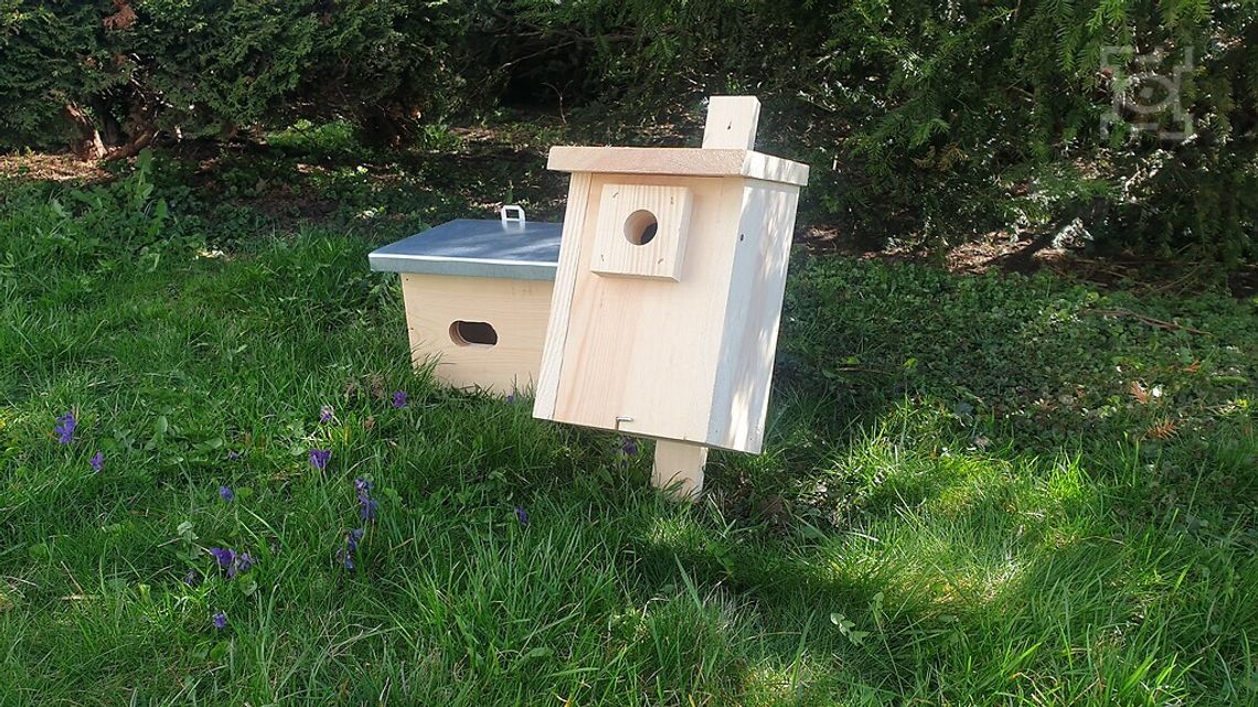 W Lublinie pojawią się nowe schronienia dla ptaków W Lublinie pojawią się nowe schronienia dla ptaków