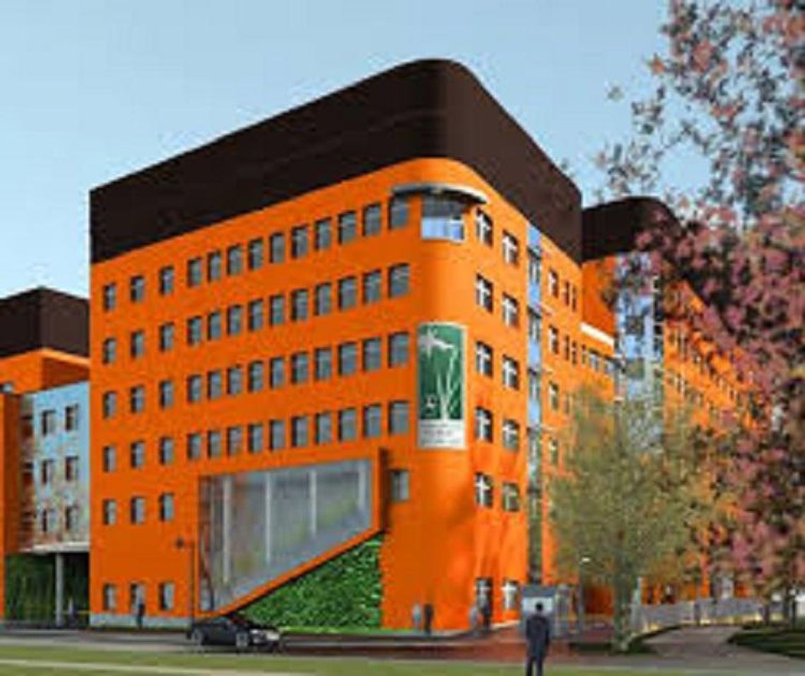 W poszukiwaniu skutecznej terapii - COZL * W poszukiwaniu skutecznej terapii - COZL *