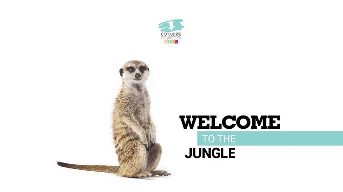 Welcome to the Jungle - bezpłatne warsztaty dla dzieci