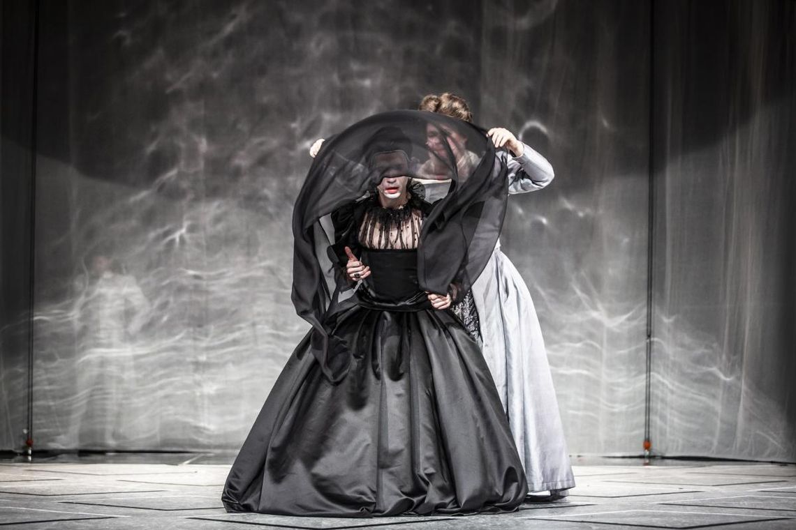 „Wieczór Trzech Króli” w wersji bez barier * „Wieczór Trzech Króli” w wersji bez barier *