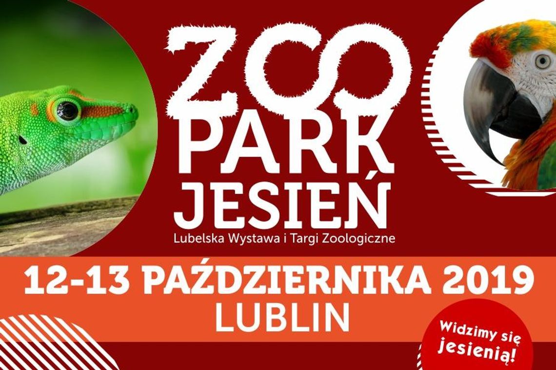 Wielkie zoo w Lublinie! Wielkie zoo w Lublinie!