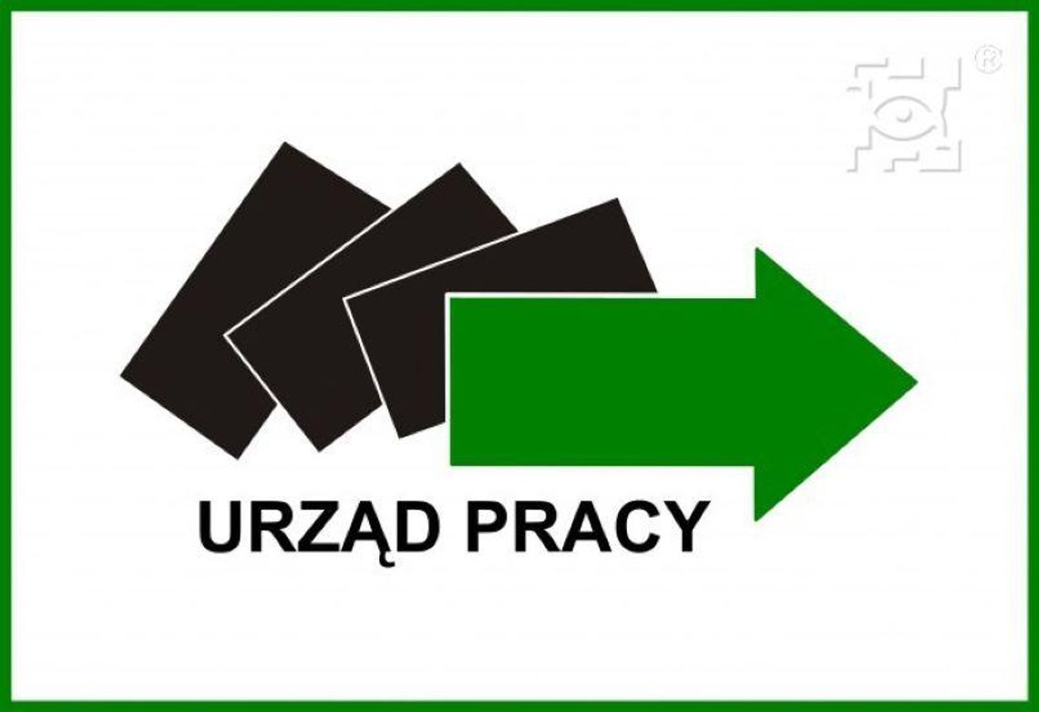 Wsparcie Miasta Lublin dla pracodawców w organizacji staży Wsparcie Miasta Lublin dla pracodawców w organizacji staży
