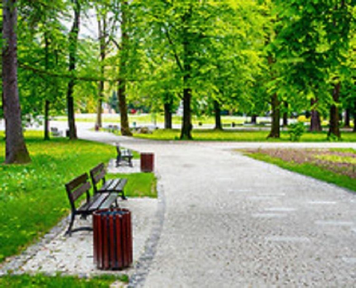 Zamknięcie Ogrodu Saskiego, zakaz korzystania z parków i innych terenów zielonych*