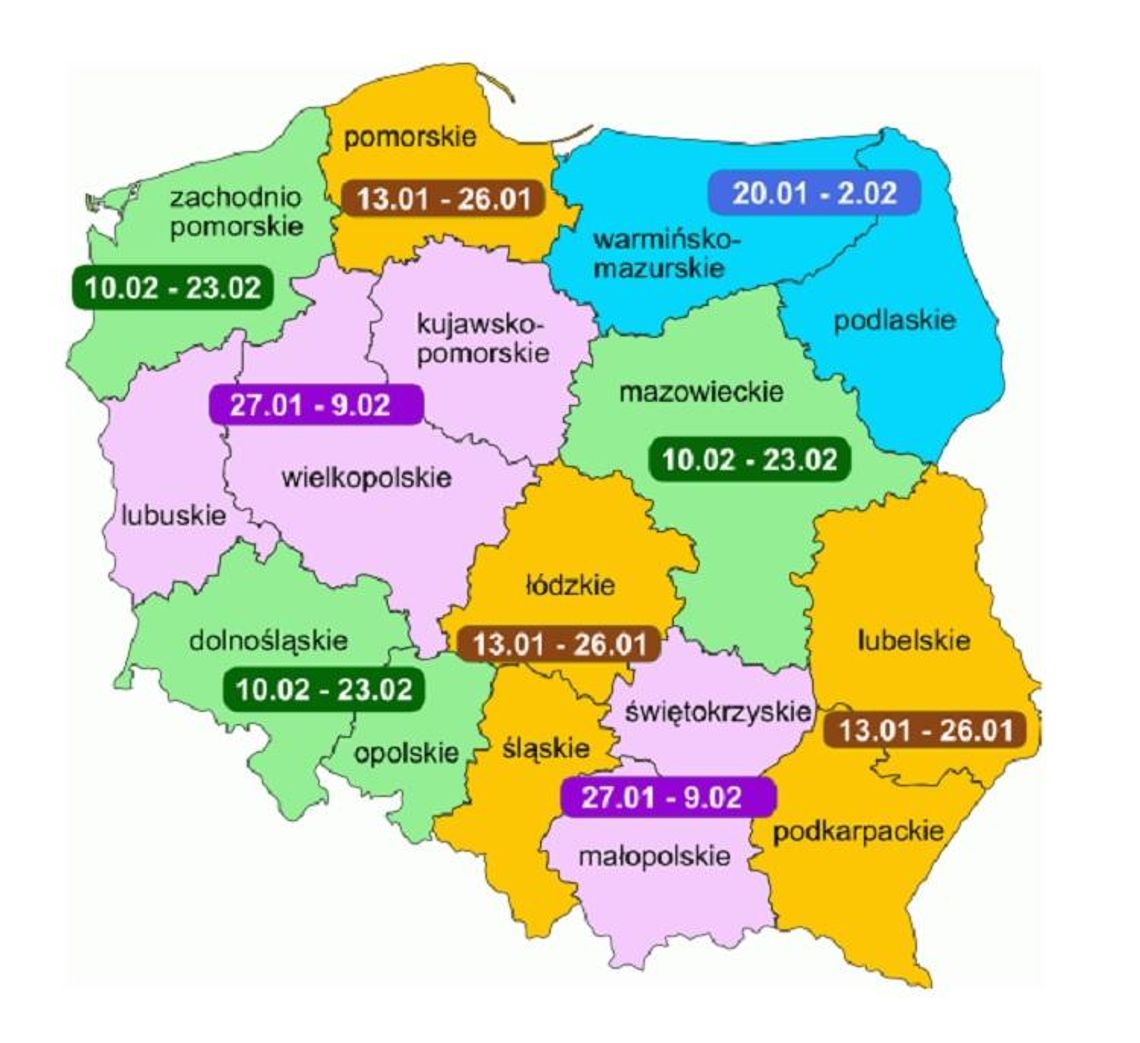 Zaprosiliśmy Zimę do miasta! * Zaprosiliśmy Zimę do miasta! *