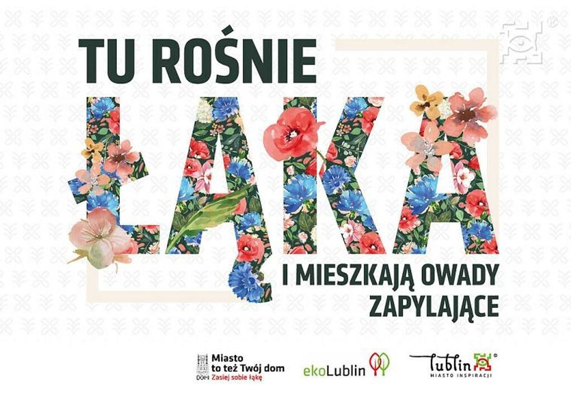 „Zasiej sobie łąkę” – kolejna akcja z myślą o naturze „Zasiej sobie łąkę” – kolejna akcja z myślą o naturze