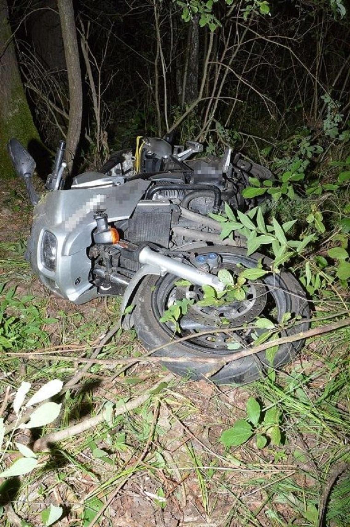 ZDERZENIE Z ŁOSIEM ZDERZENIE Z ŁOSIEM