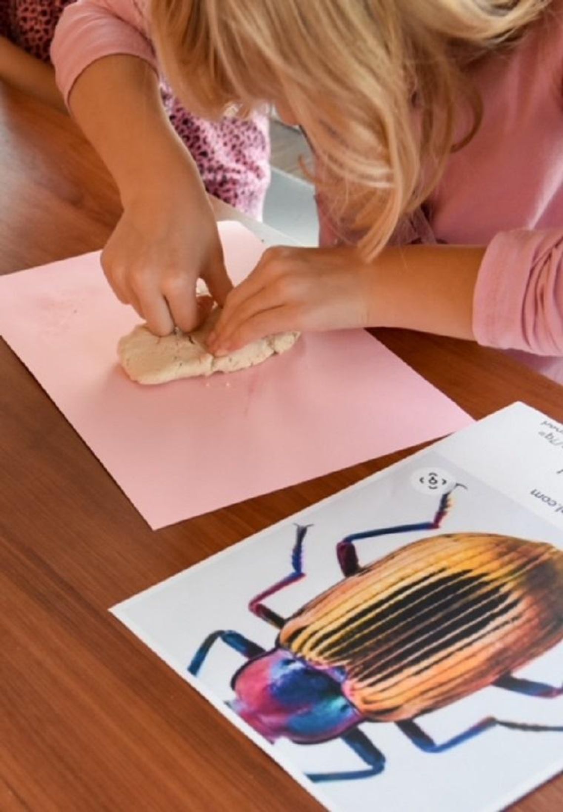 Zero Waste w domu – warsztaty ekologiczne Veolia Dzieciom Zero Waste w domu – warsztaty ekologiczne Veolia Dzieciom