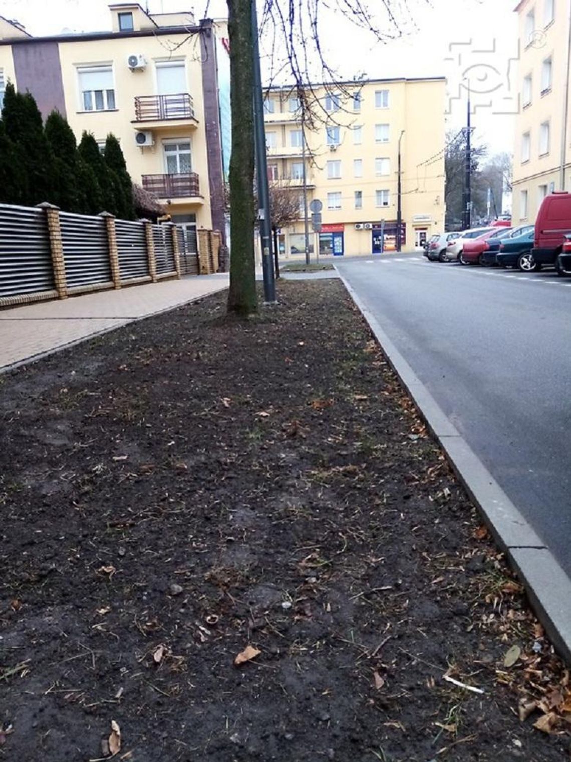 „Zielony Lublin” – realizacja projektu VI edycji BO „Zielony Lublin” – realizacja projektu VI edycji BO