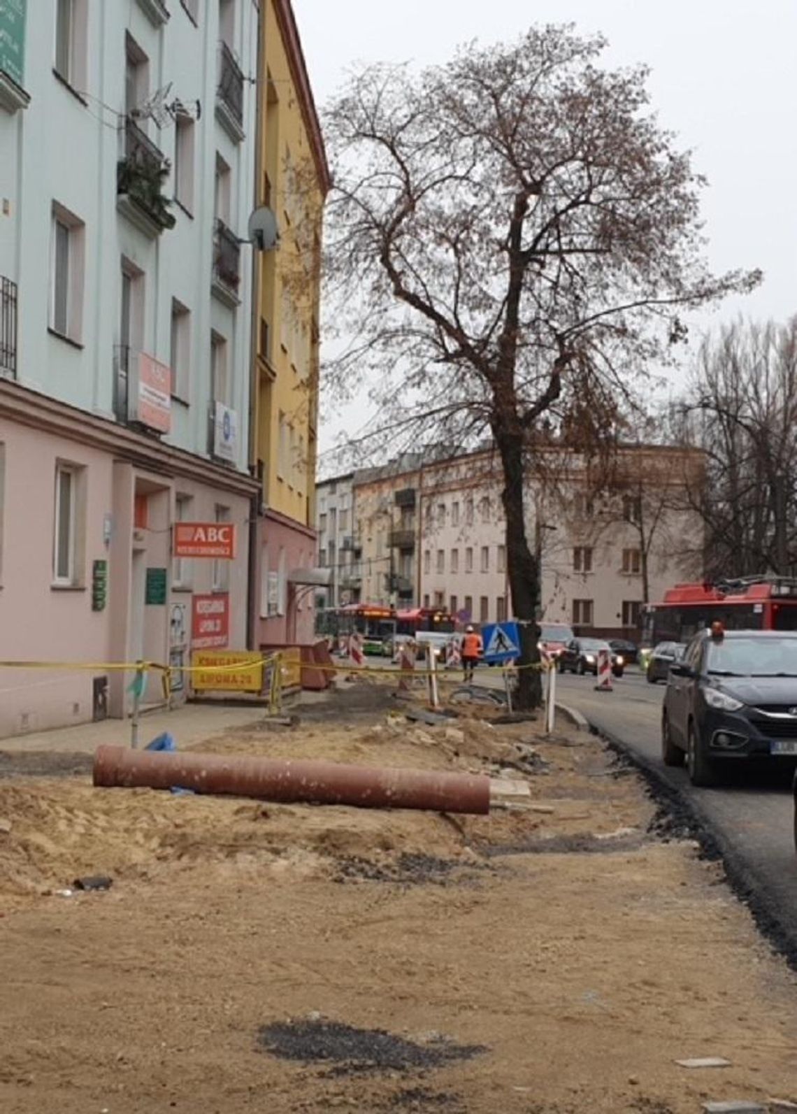 Zmiany w drzewostanie na ul. Lipowej i Al. Racławickich*