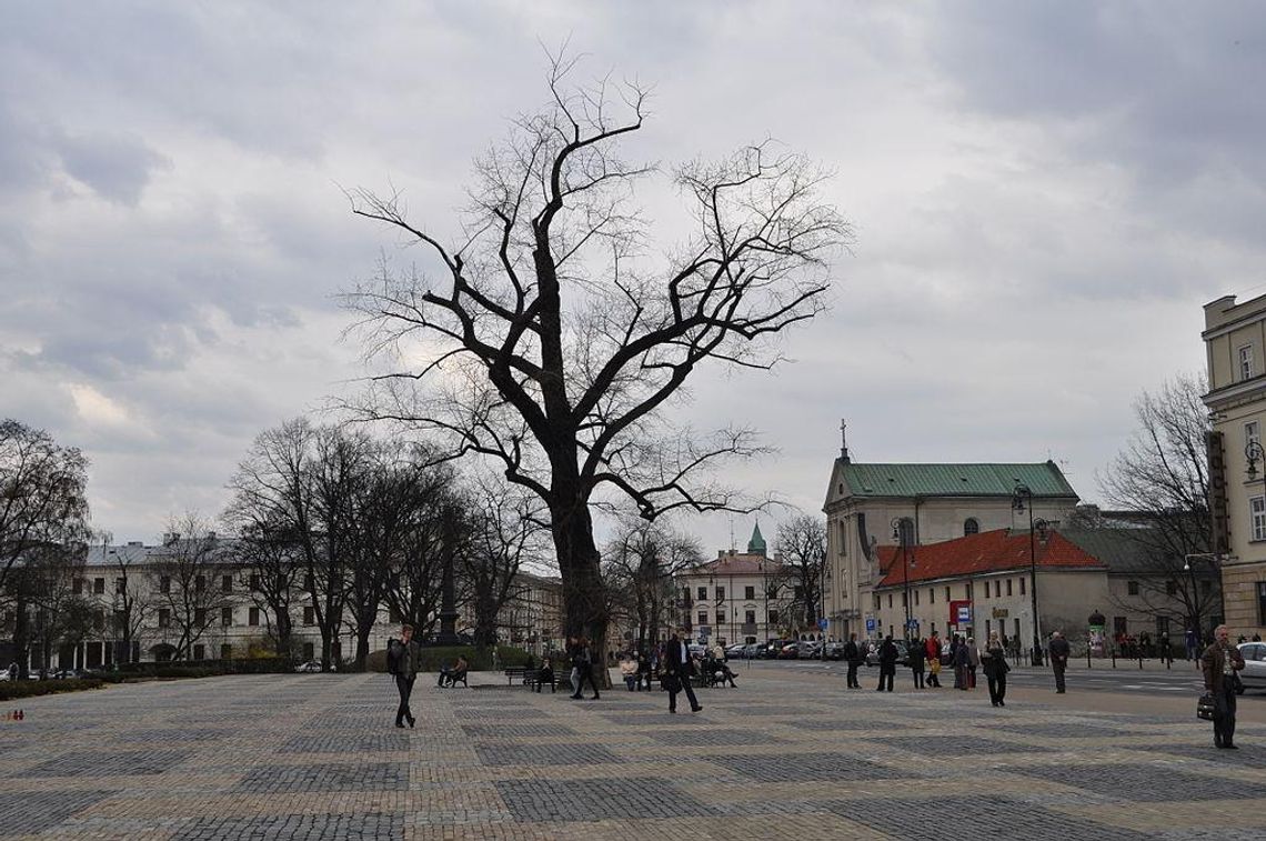 Znane są wyniki badań antropoligicznych cmentarza pod Placem Litewskim