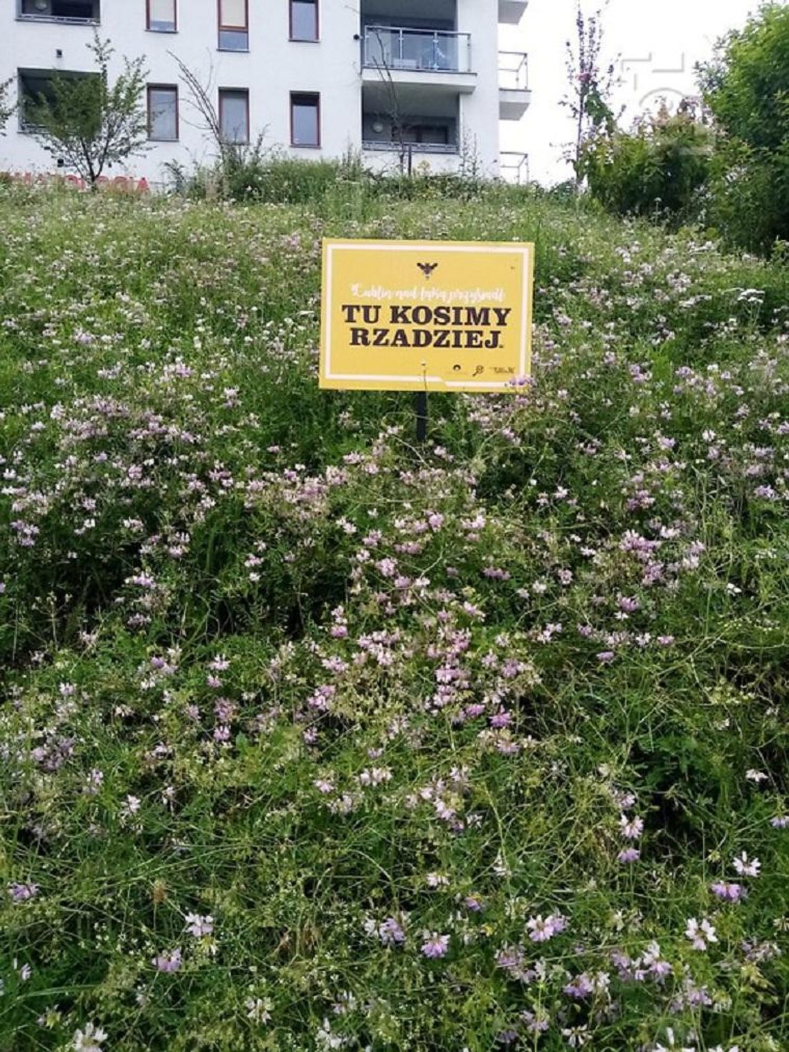 Zrównoważone zarządzanie miejskimi trawnikami i zieleńcami Zrównoważone zarządzanie miejskimi trawnikami i zieleńcami