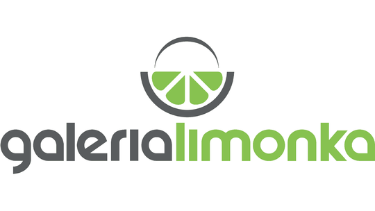 EXCEL Aneta Sielicka