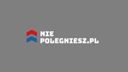 Niepolegniesz.pl - Centrum marketingowo-biznesowe