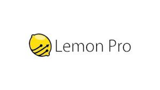 Opieka informatyczna dla firm - LEMON PRO