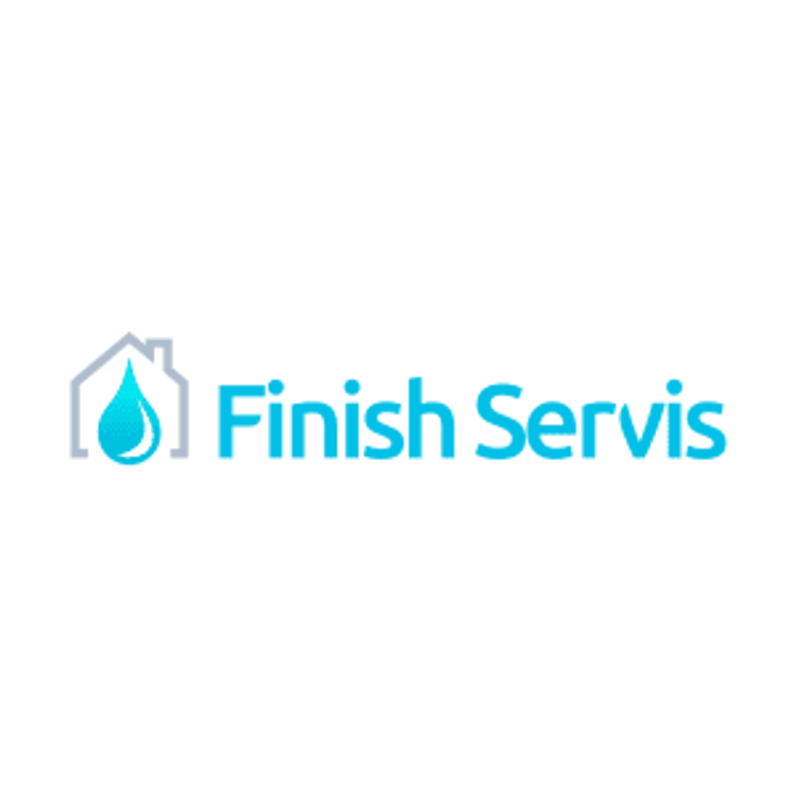 Finish Servis