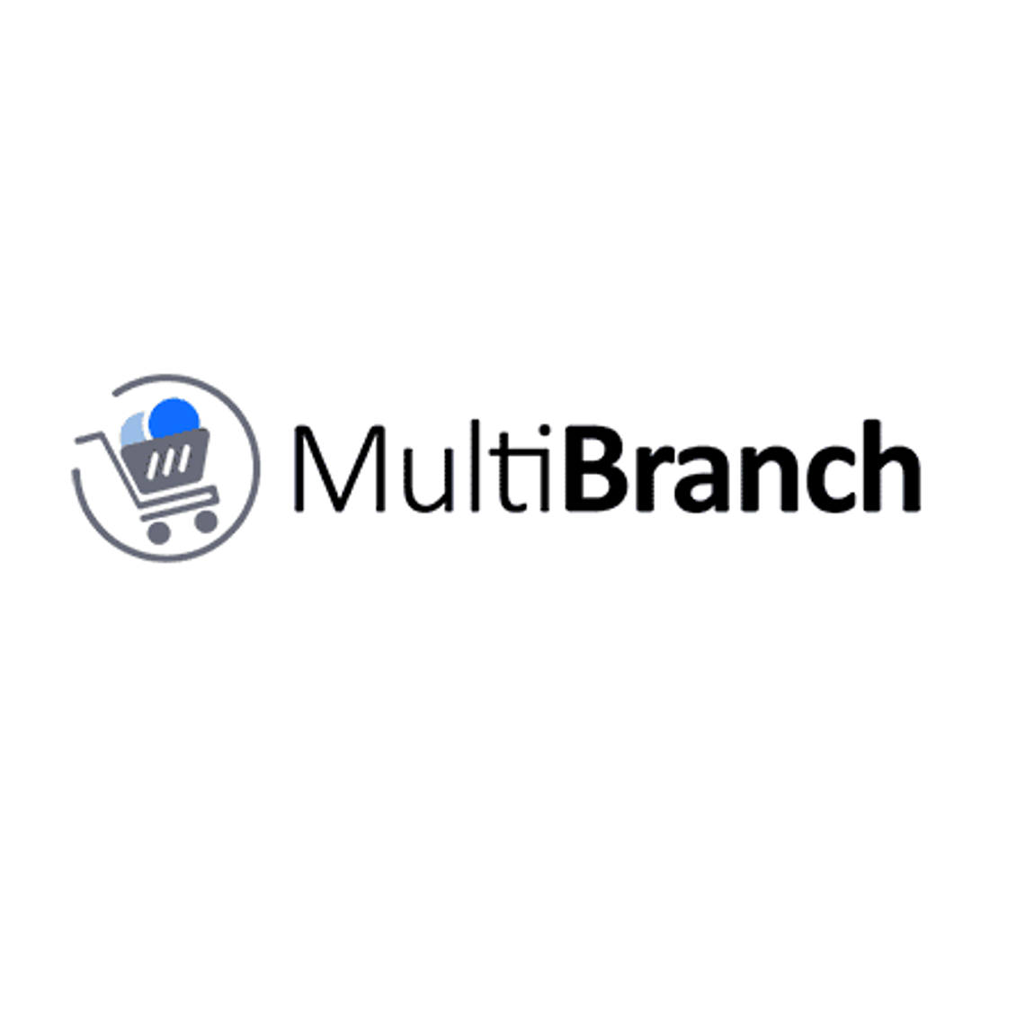 Multi-Branch Multi-Branch