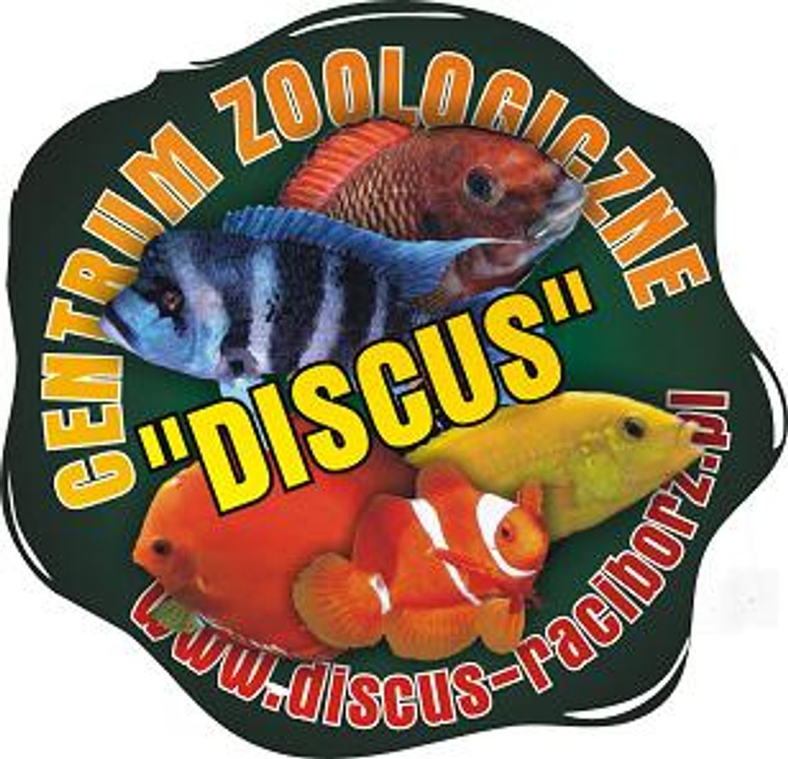 Sklep Zoologiczny i Hodowla Ryb Akwariowych "DISCUS"